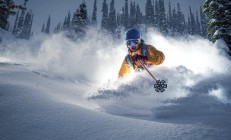 开云体育直播-当武切维奇成为篮网的答案，一场颠覆认知的胜利