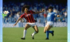 开云体育直播-年轻球员崭露头角，展现出色技艺的简单介绍