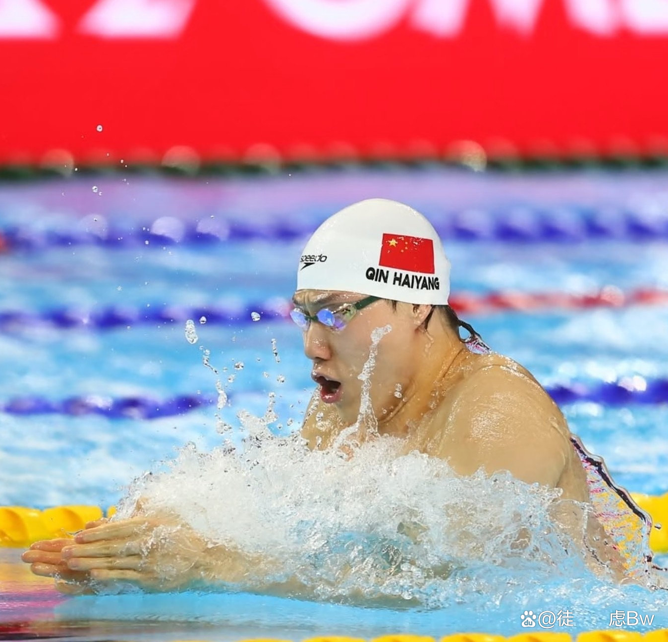 荷属安的列斯选手在游泳比赛中夺冠，掌声雷动的简单介绍