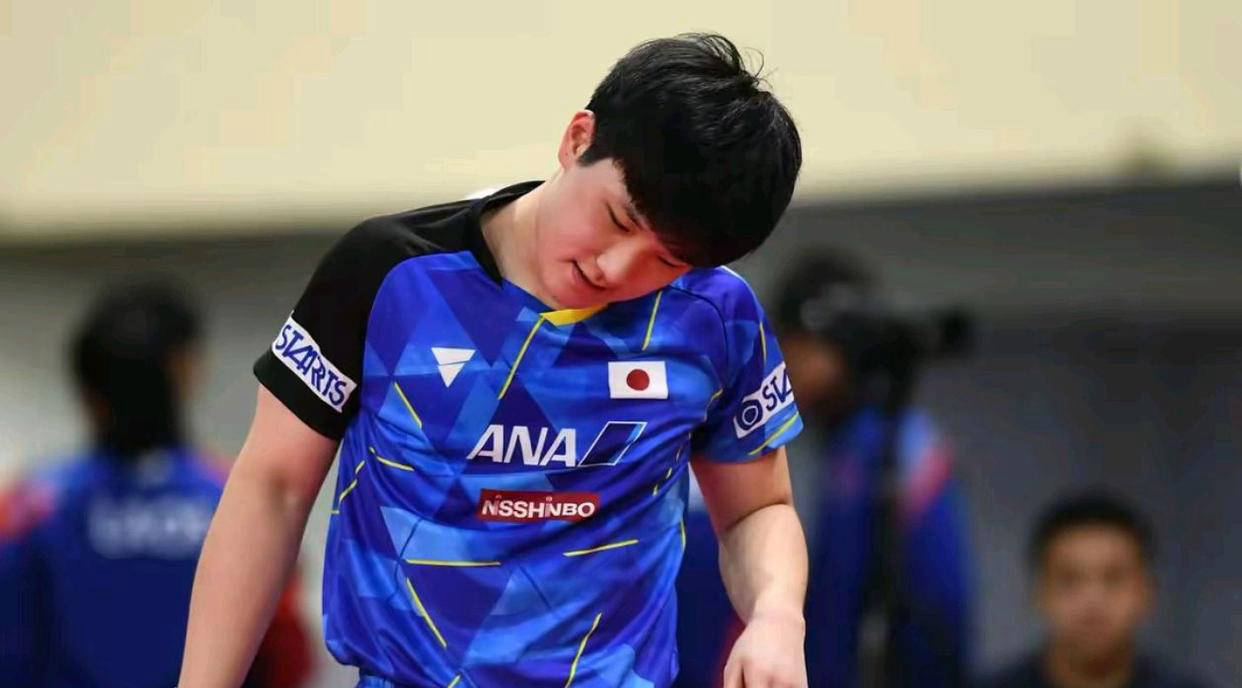 关于英国乒乓球队翻盘法国乒乓球队，张本智和制霸全场的信息